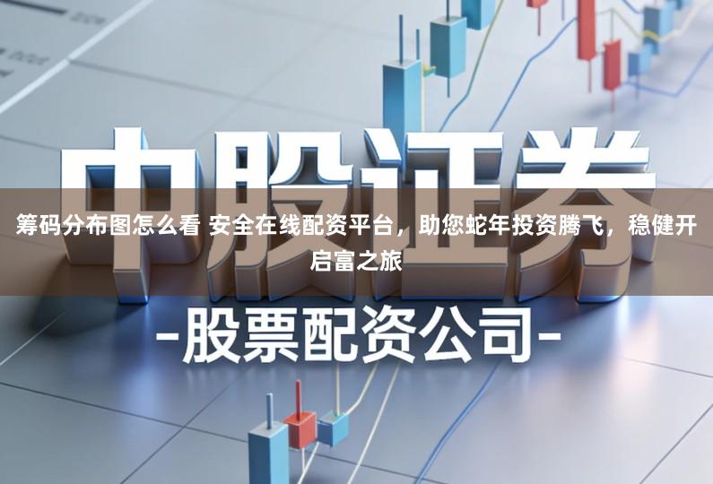 筹码分布图怎么看 安全在线配资平台，助您蛇年投资腾飞，稳健开启富之旅