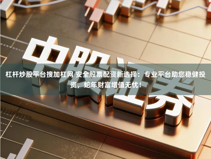 杠杆炒股平台搜加杠网 安全股票配资新选择：专业平台助您稳健投资，蛇年财富增值无忧！