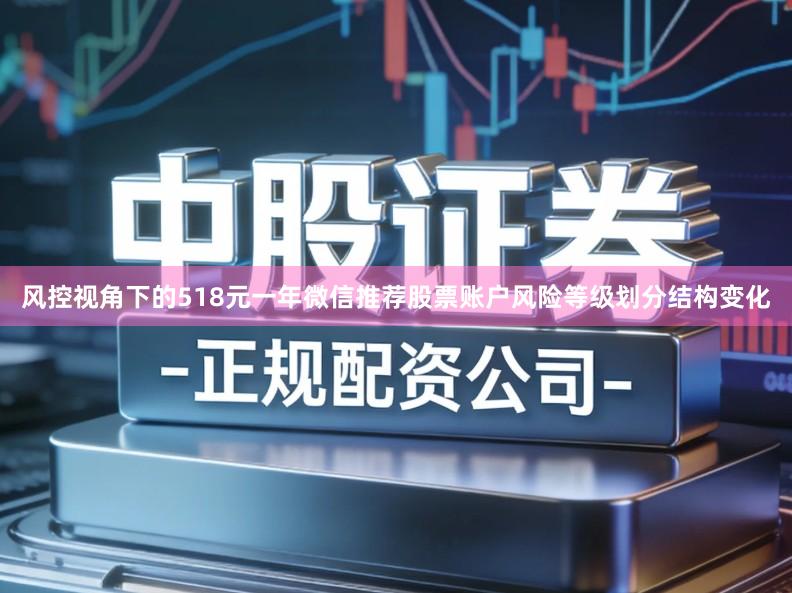 风控视角下的518元一年微信推荐股票账户风险等级划分结构变化