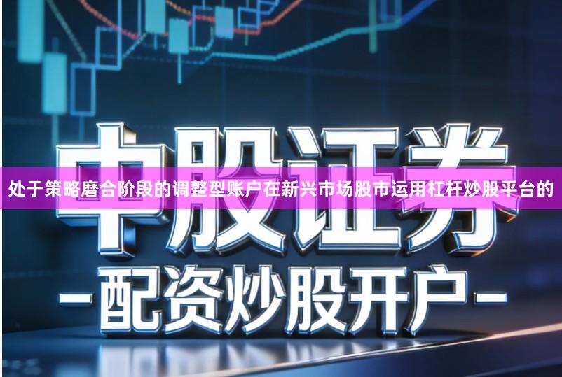 处于策略磨合阶段的调整型账户在新兴市场股市运用杠杆炒股平台的